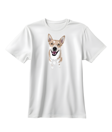 Camiseta-niños2